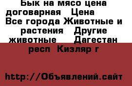 Бык на мясо цена договарная › Цена ­ 300 - Все города Животные и растения » Другие животные   . Дагестан респ.,Кизляр г.